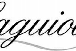 Korting ❤️ Laguiole Premium Stormaansteker ⌛ -Bourgogne Shop 550x166 1