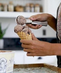 Coupon ???? Merkloos Luxe RVS Ijsschep – Ijsboltang – Ijslepel – Portioneerlepel – Ø 50 MM ❤️ -Bourgogne Shop 550x366 110