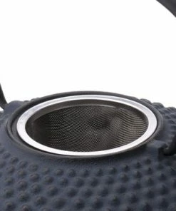 Gloednieuw ???? Bredemeijer - Theepot Xilin 1,25L Gietijzer Blauw ???? -Bourgogne Shop 550x366 124
