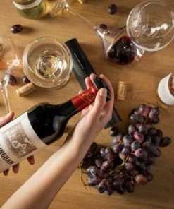 Promo ???? Sareva Elektrische Wijnopener Set (met Wijnstopper, Foliesnijder & Schenktuit) ???? 9 Promo ???? Sareva Elektrische Wijnopener Set (met Wijnstopper, Foliesnijder & Schenktuit) ???? -Bourgogne Shop 550x366 70