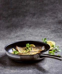 Uitgang ???? BK Allround Koekenpan - 28 Cm - PFAS-vrij ⌛ -Bourgogne Shop 550x390 3