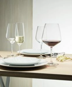 Groothandel ???? Schott Zwiesel Taste Rode Wijnglas - 0.497 L - 6 Stuks ???? -Bourgogne Shop 550x412 32