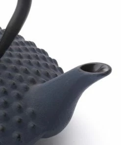 Gloednieuw ???? Bredemeijer - Theepot Xilin 1,25L Gietijzer Blauw ???? -Bourgogne Shop 550x412 90