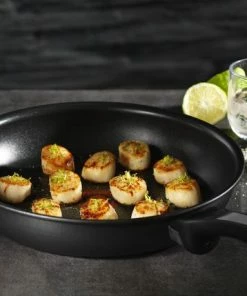 Beste recensies van ???? Tefal Expertise Koekenpan - Voor Alle Warmtebronnen Ook Inductie - Ø 24 Cm ❤️ -Bourgogne Shop 550x429