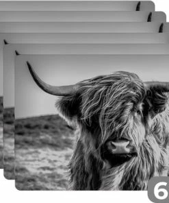 Aanbiedingen ✔️ KitchenYeah Placemat - Placemats Kunststof - Schotse Hooglander - Natuur - Koe - Zwart - Wit - 45x30 Cm - 6 Stuks - Hittebestendig - Anti-Slip - Onderlegger - Afneembaar ????