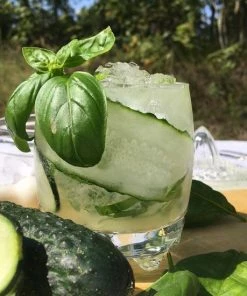 Top 10 ???? Merkloos Do Your Gin - Zelf Gin Maken - Gin Tonic Geschenkset - Gin Botanicals - Hoogwaardige Kruiden Om Je Eigen Infused Gin Te Maken ???? -Bourgogne Shop 550x550 746