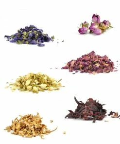 Korting ???? Té Tonic Experience Te Tonic Bloemen Botanicals Cocktailkruiden, 6 Verschillende Bloemen Om Je Gin En Tonic Op Smaak Te Brengen β 11 Korting ???? Té Tonic Experience Te Tonic Bloemen Botanicals Cocktailkruiden, 6 Verschillende Bloemen Om Je Gin En Tonic Op Smaak Te Brengen β -Bourgogne Shop 550x644 3